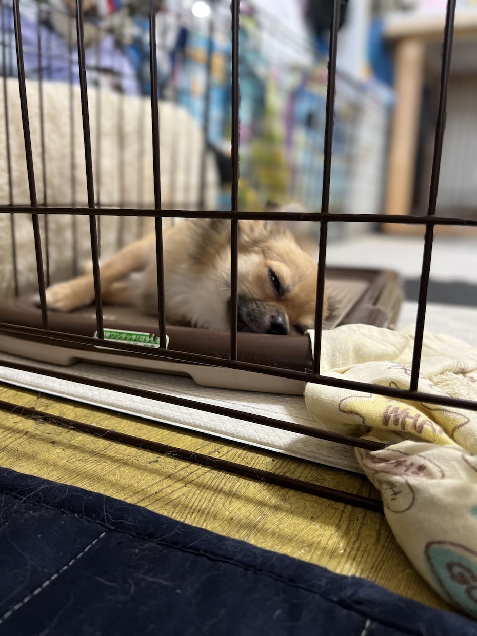 ゲイですがよかったら。今すぐ話したい方お話聞きます 相談、愚痴をなんとなくで大丈夫です。 イメージ1