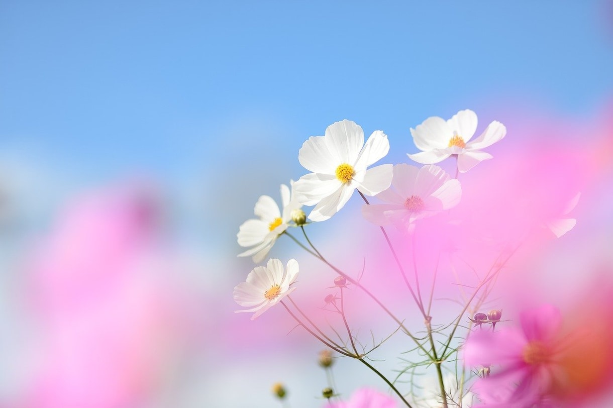 24時間以内に回答♡人間関係のアドバイスします 周りの人に認められ理想の働き方ができるようアドバイスします イメージ1