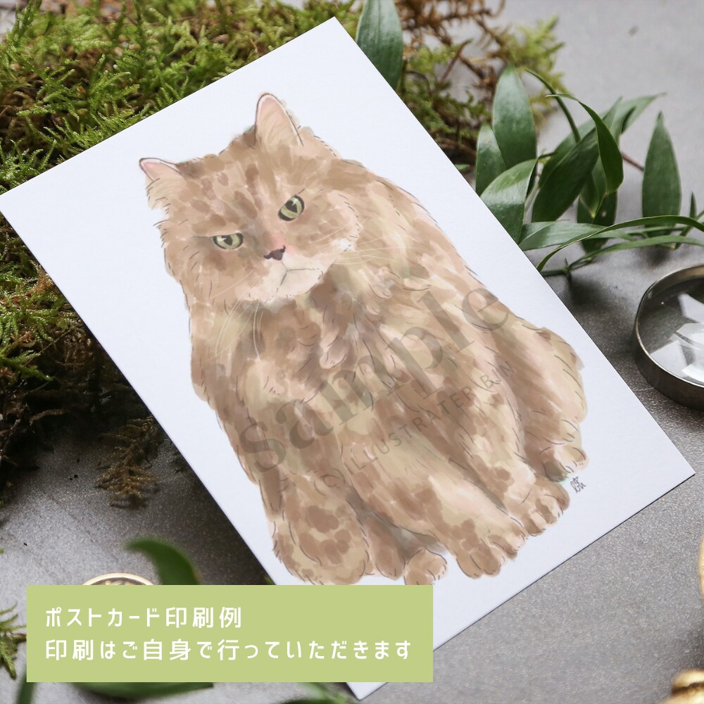 やさしいタッチでペットのイラスト描きます 犬猫小動物、爬虫類、なんでも描きます！ イメージ3