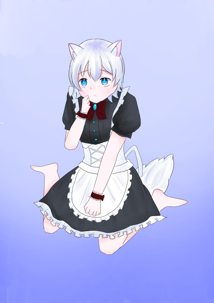 全身イラストとなります 立ち絵及び全身の1枚絵を書きます イメージ1