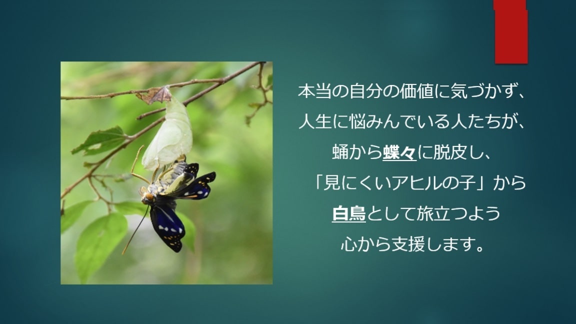 仕事、人間関係、健康等様々な人生の悩みに対応します NLP、コーチング、カウンセリング、心理学のプロがサポート イメージ1
