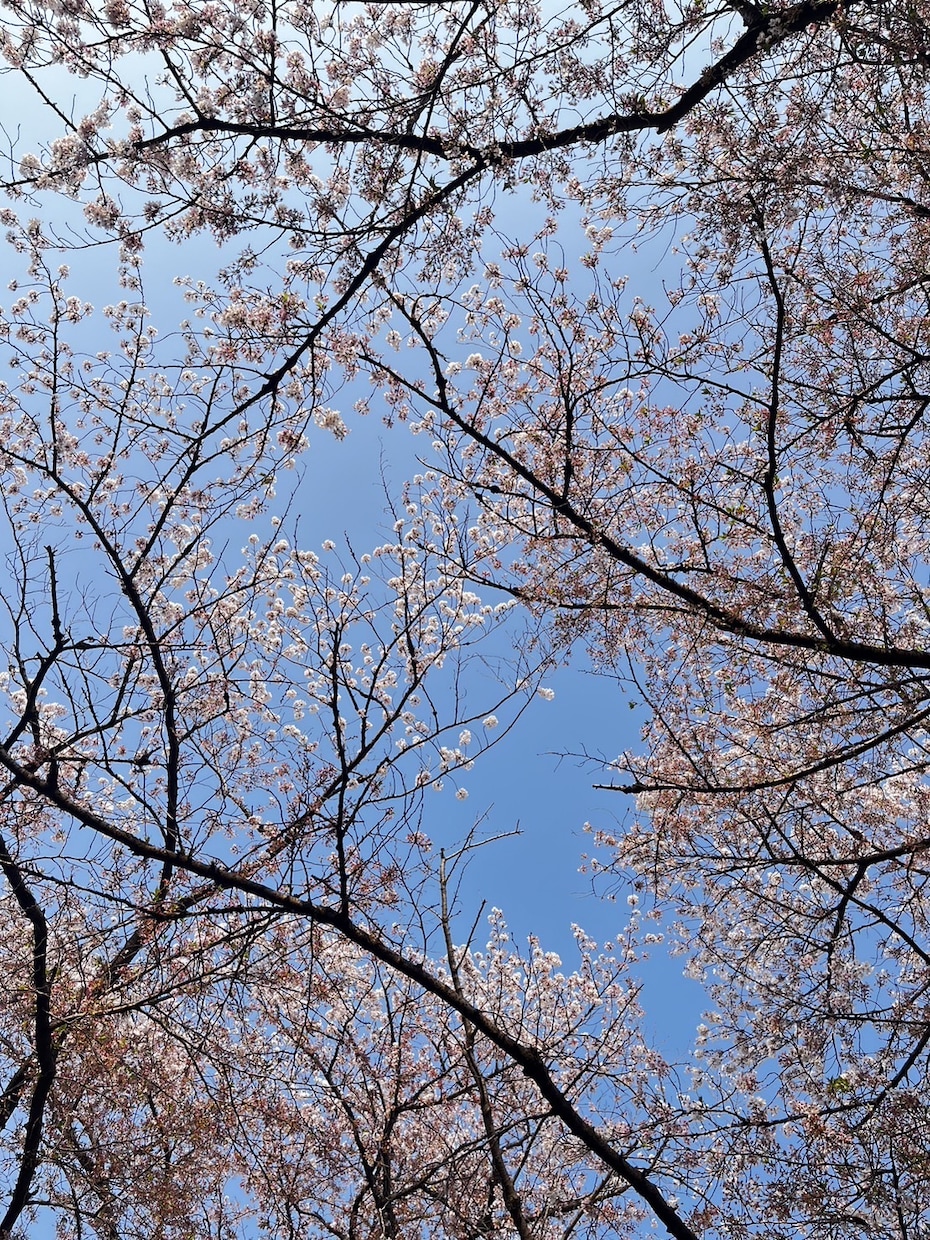 29歳バツイチの私が夫婦関係をタロットで占います ◎お悩み相談はもちろん、愚痴を聞くだけでもOKです＾＾ イメージ1