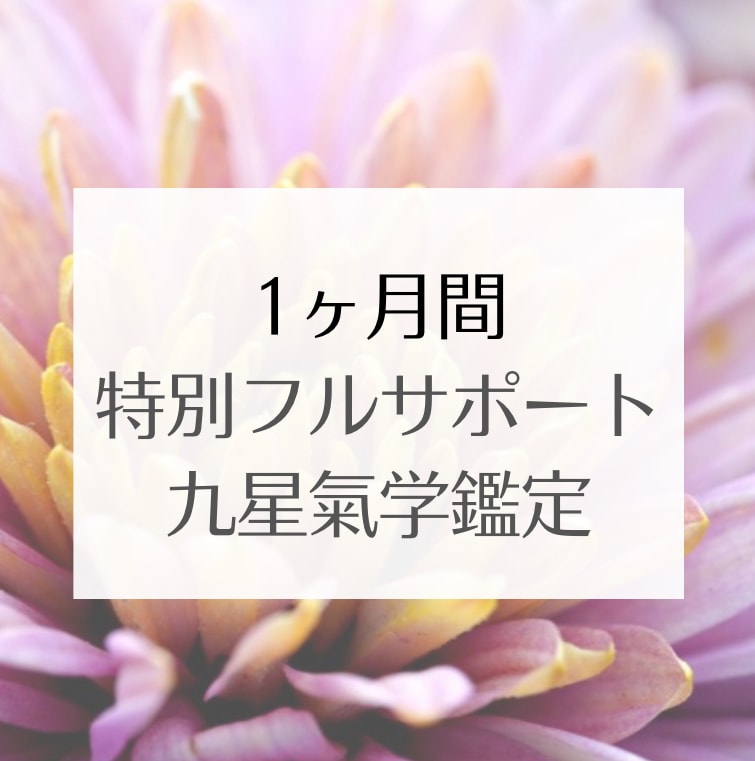 氣学でフルサポート鑑定します 1カ月間まるごと寄り添う特別プラン イメージ1