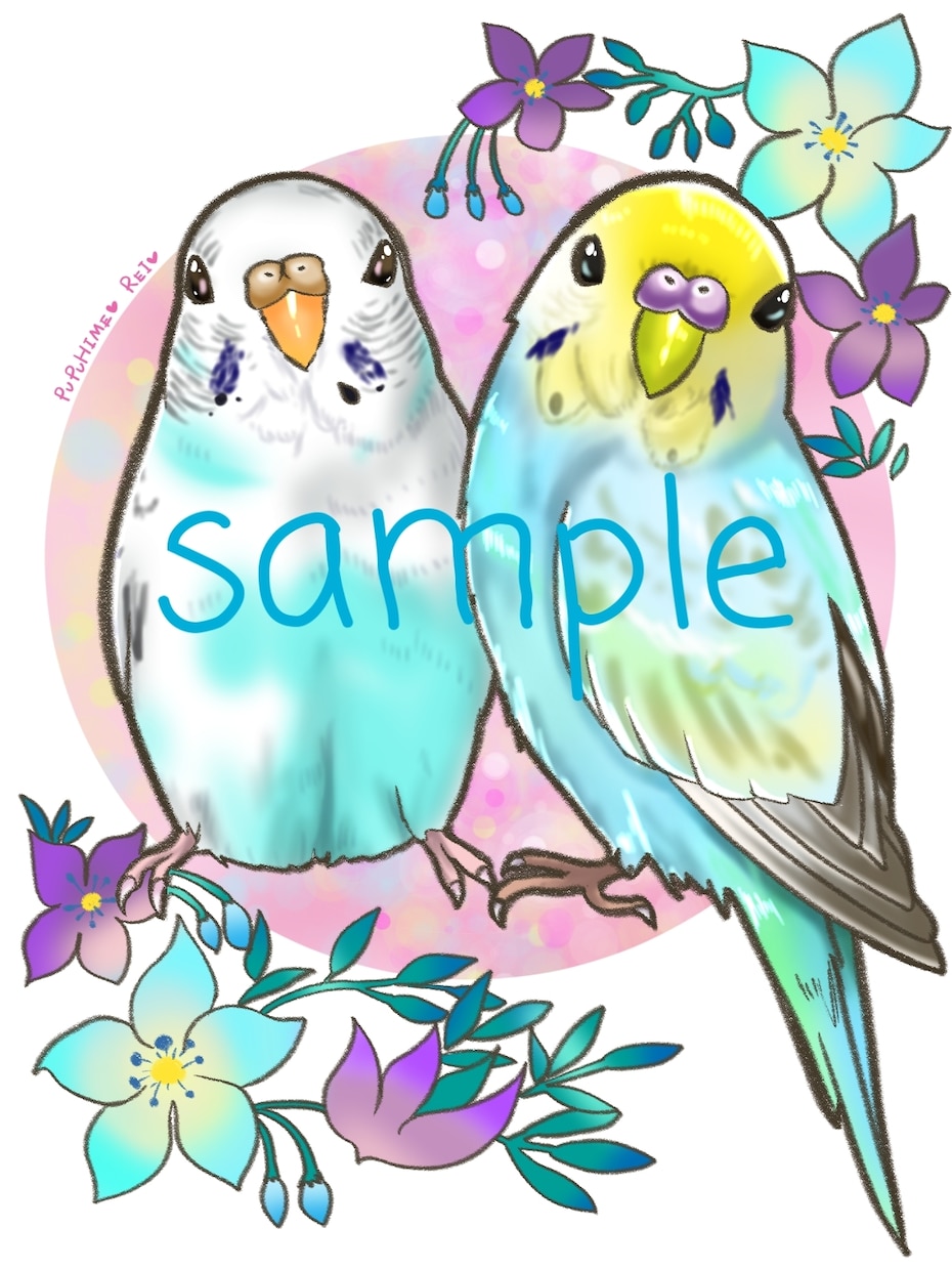 インコ大好きさん集まれ！特価でインコの絵描きます オカメインコ、セキセイインコ、文鳥…鳥なら何でも！ イメージ2