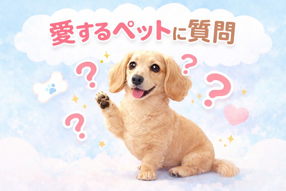 ペットちゃんに気になることを質問できます 不安やモヤモヤを安心へ変えるひととき イメージ1