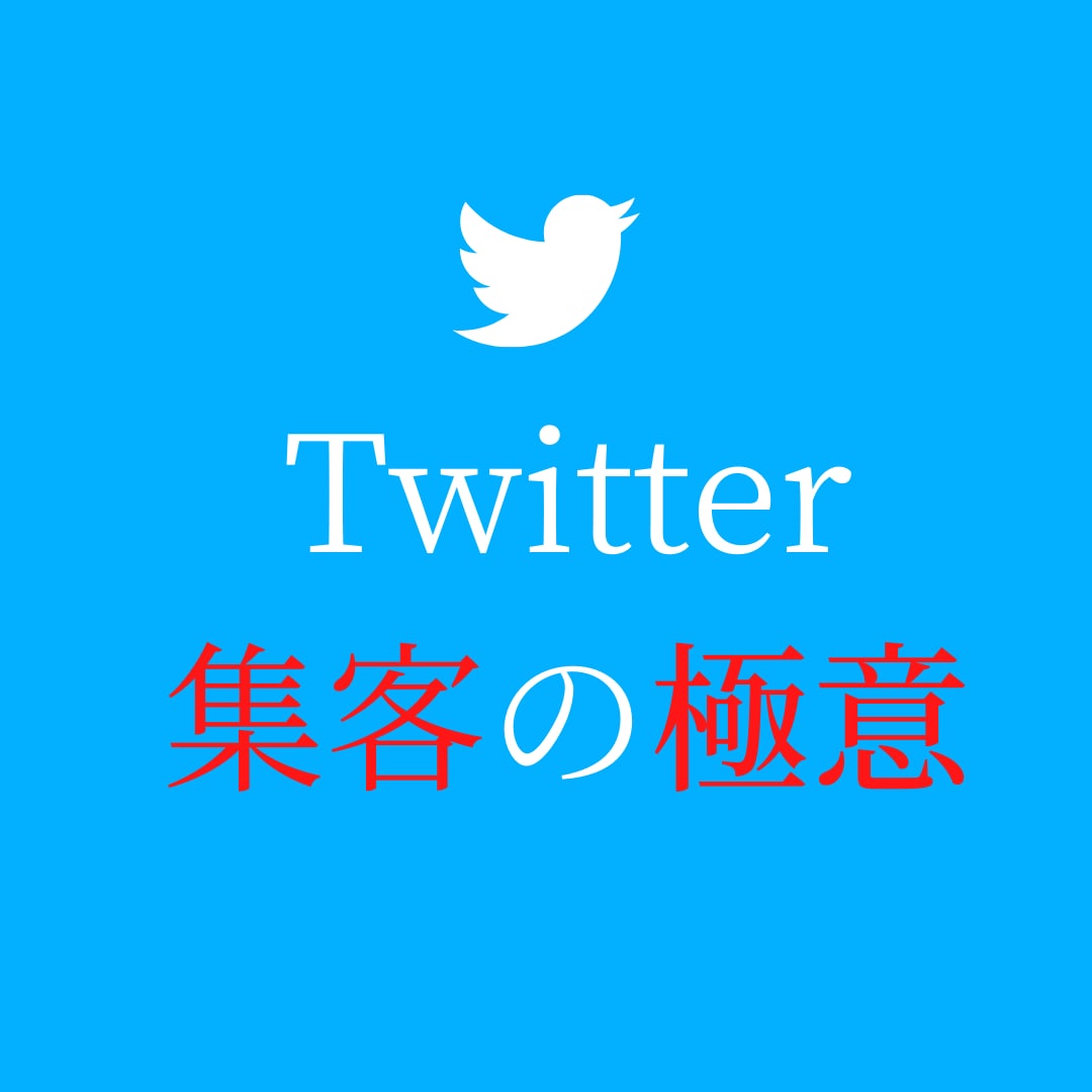 初心者歓迎！Twitter集客の極意を教えます 4500万人以上のバイラルメディアからのリスト取りの決定版！ イメージ1