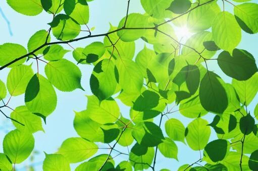 ５分でも⭐更年期のあれこれに寄り添います 更年期かな？更年期真っ只中！いろいろな不調お聞きします！ イメージ5