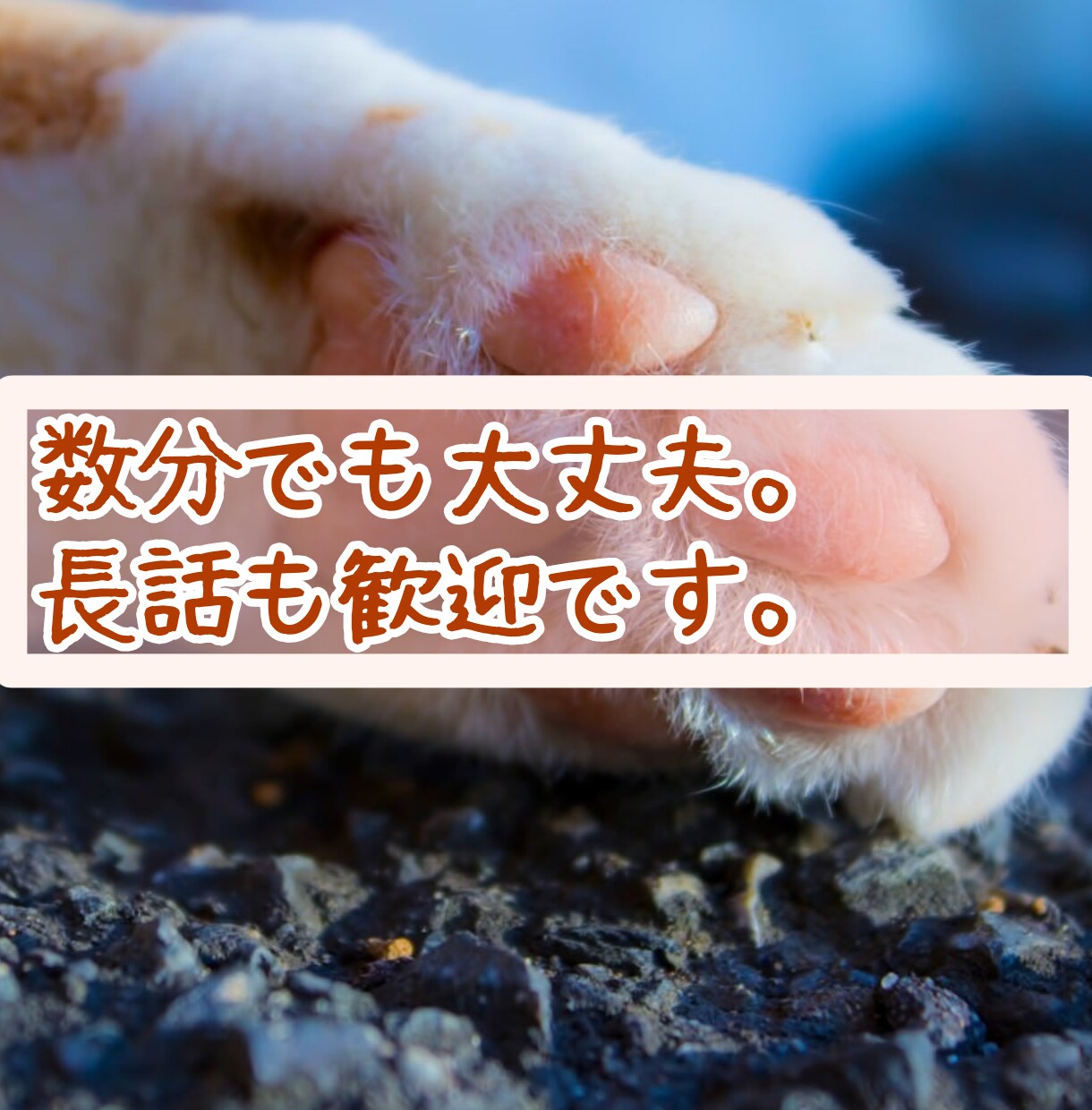お話を聞きつつ、タロット占いをします 簡単なタロット占いをしながら、お話を丁寧に聞きます。 イメージ4