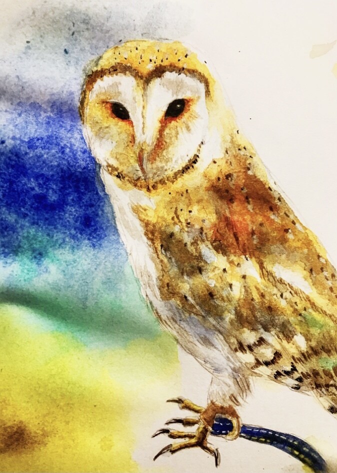 水彩画であなたの大切なペットの似顔絵お描きします 背景や小物描き込みできます！小動物もOK！ イメージ8