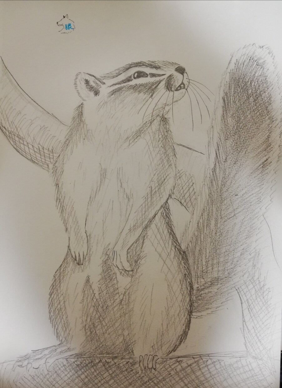 亡くなったペットや好きな動物描きます 白黒の世界であなたのペットや好きな動物を描かせてください！！ イメージ1