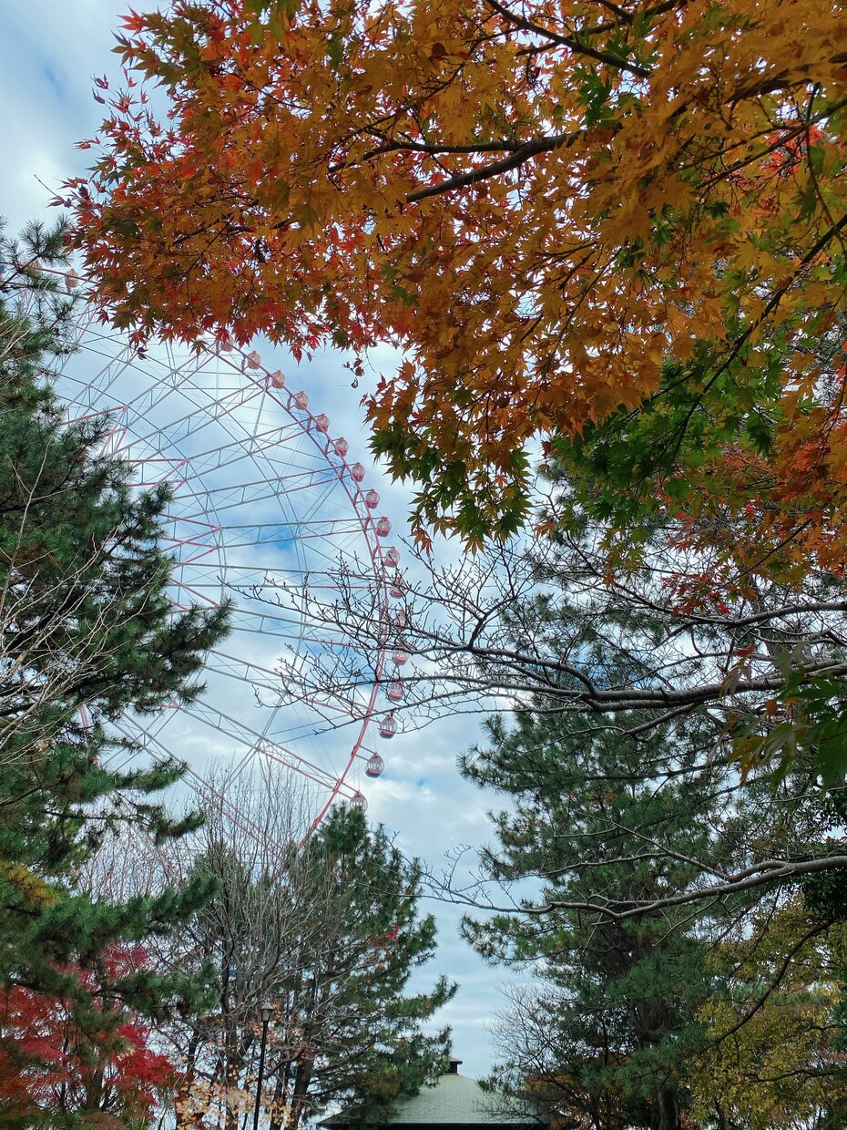 癒される景色の写真を販売します 美しい景色や自然やお花がメインです イメージ6