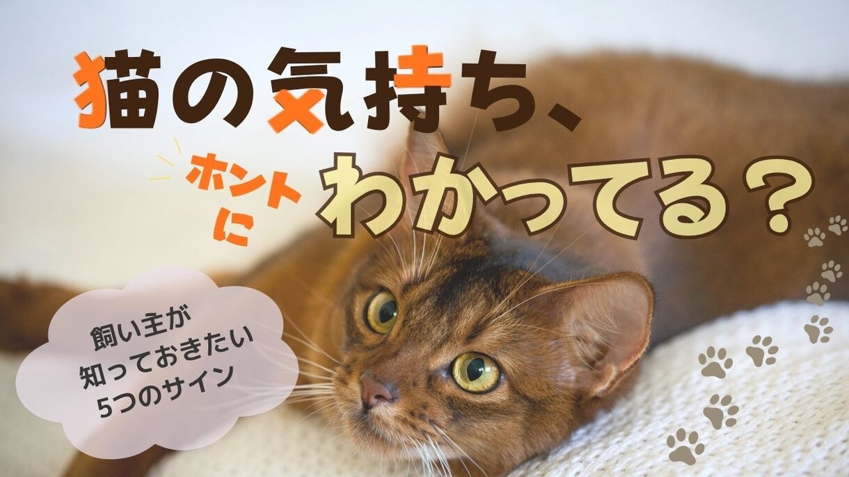 こんな感じ！をカタチにします 想いが伝わるYoutubeサムネイルを制作します イメージ6