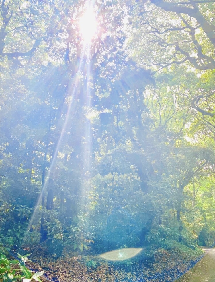 松果体覚醒✨️神次元OSへとアップデートします ゼロポイントとの統合/シータ波とガンマ波の共鳴/魂の覚醒 イメージ9