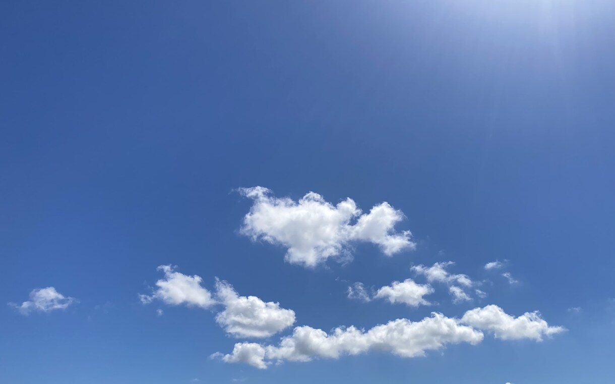 診断の有無は問いません 知的障害の相談に乗ります 不安/療育/子育て/学校/施設/きょうだい児/親亡きあと等 イメージ7
