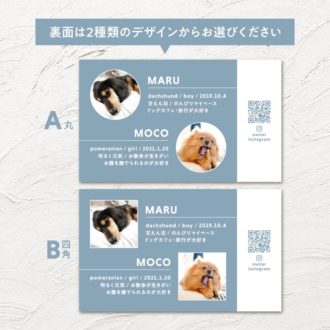 シンプルがおしゃれなうちの子・ペット名刺制作します ２頭限定！印刷代込み100枚！オフ会・イベントで大活躍♩ イメージ3