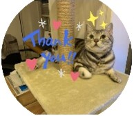 プログラミング(R)教えます カユい所に手が届く情報を提供いたします。 イメージ1