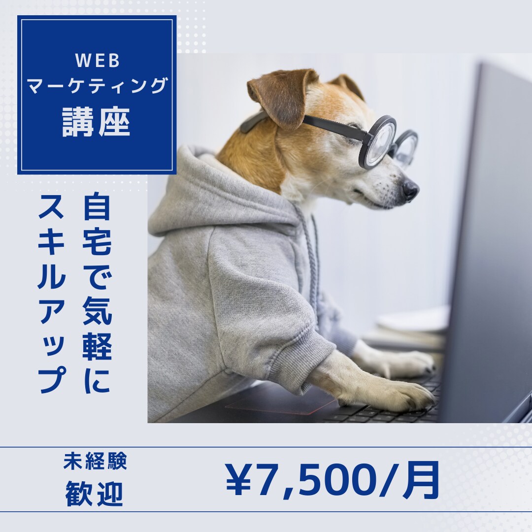 未経験から即戦力に【Webマーケ講座】教えます Webマーケコンサル歴4年-あなたのペースに合わせて並走 イメージ1