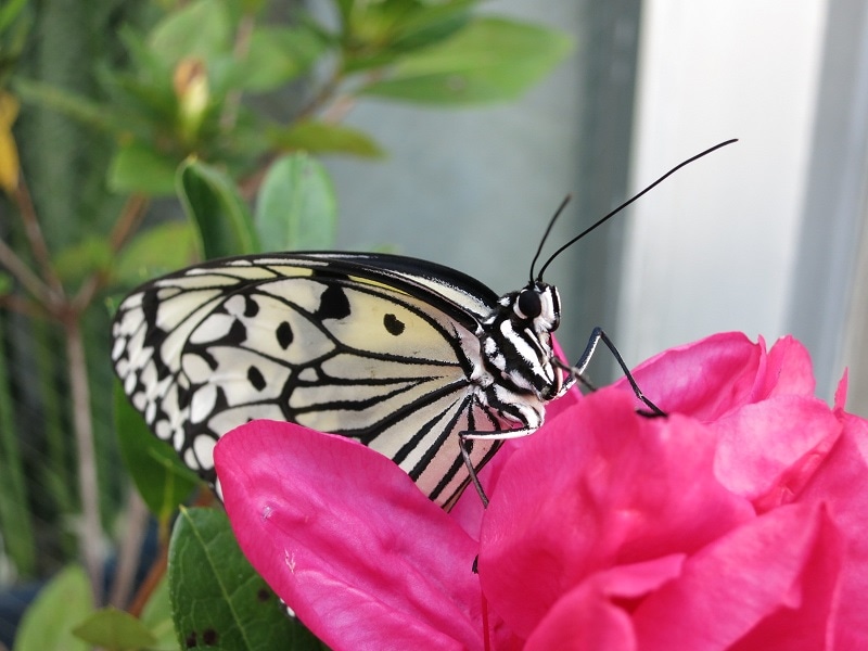 一歩ふみ出すきっかけになる質問をお届けします ～「転機」の一歩をふみ出したい方へ イメージ1