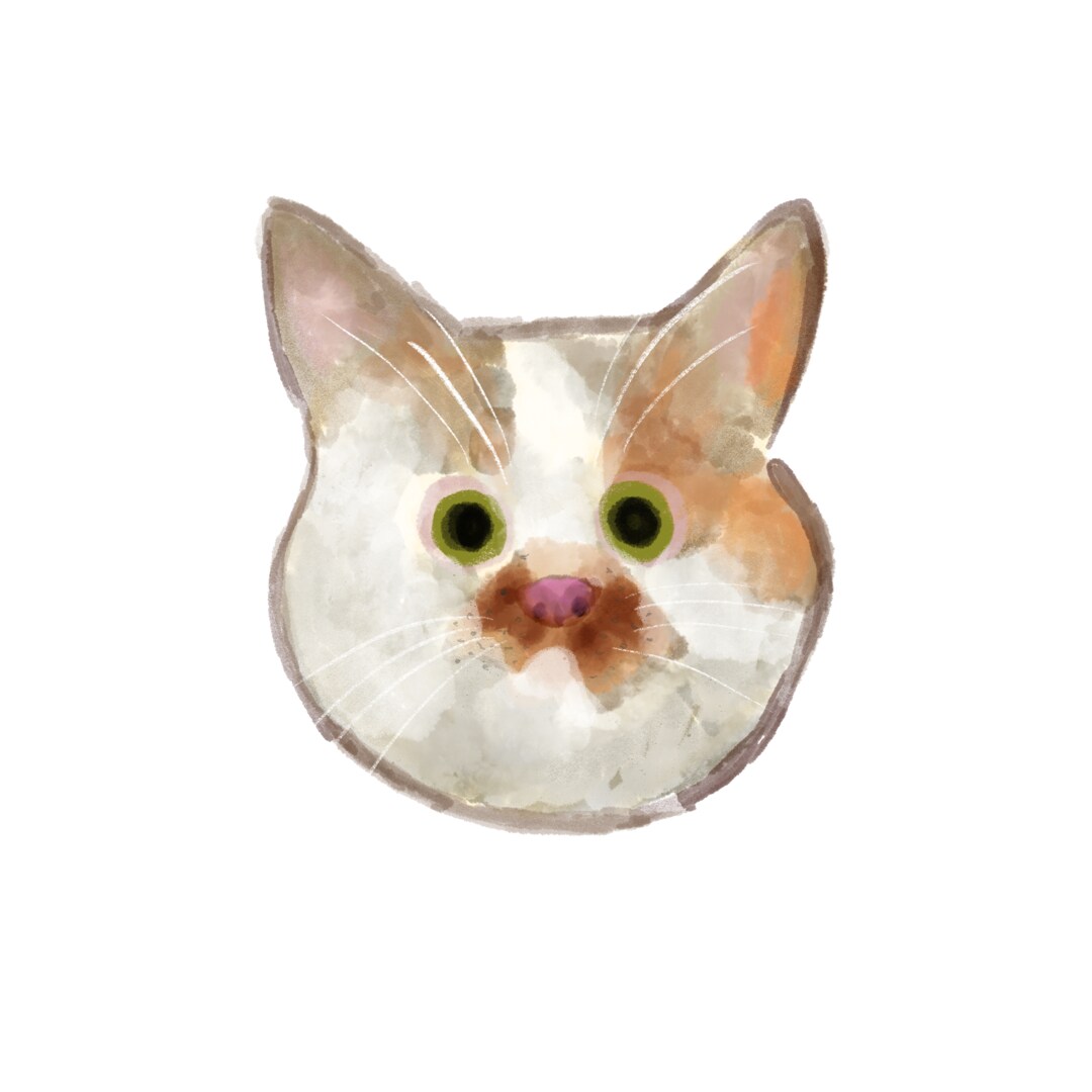 あなたのペットちゃんの絵を描きます 水彩と色鉛筆仕上げ背景入れ無料 イメージ7