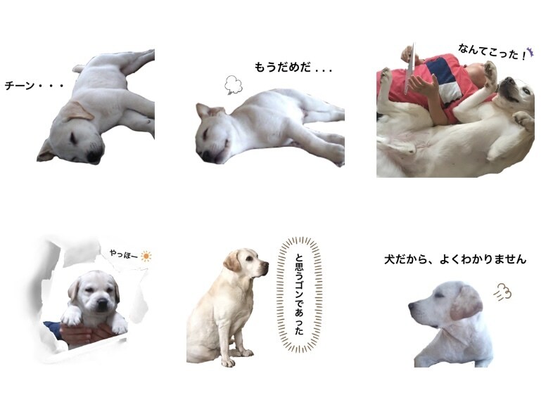 簡単⭐︎すぐに⭐︎写真でラインスタンプ作ります 〜お子様やペットの可愛さをスタンプに詰め込みます…*〜 イメージ4
