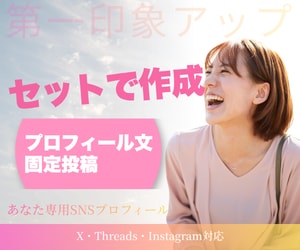 SNSプロフィールを作成します プロフィール・固定投稿をまとめて作成します イメージ2
