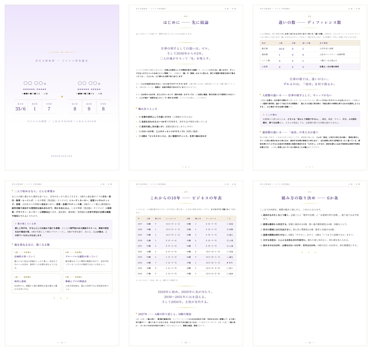 数秘術20年年表｜相性鑑定書を2万文字超で作ります 夫婦・子供・恋愛・ビジネス相性鑑定｜2人の特性で対策を練る イメージ5