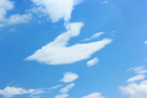 頑張るあなたの応援団長になります♪ イメージ1