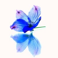 あなたの愚痴や悩みをお聞きします 日々、ストレスを感じているあなたへ イメージ1