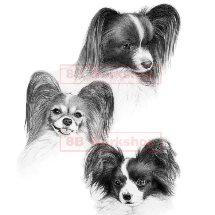 愛犬、愛猫を精細な鉛筆画で再現いたします 実務30年以上プロのイラストレーターが描きあげます イメージ3