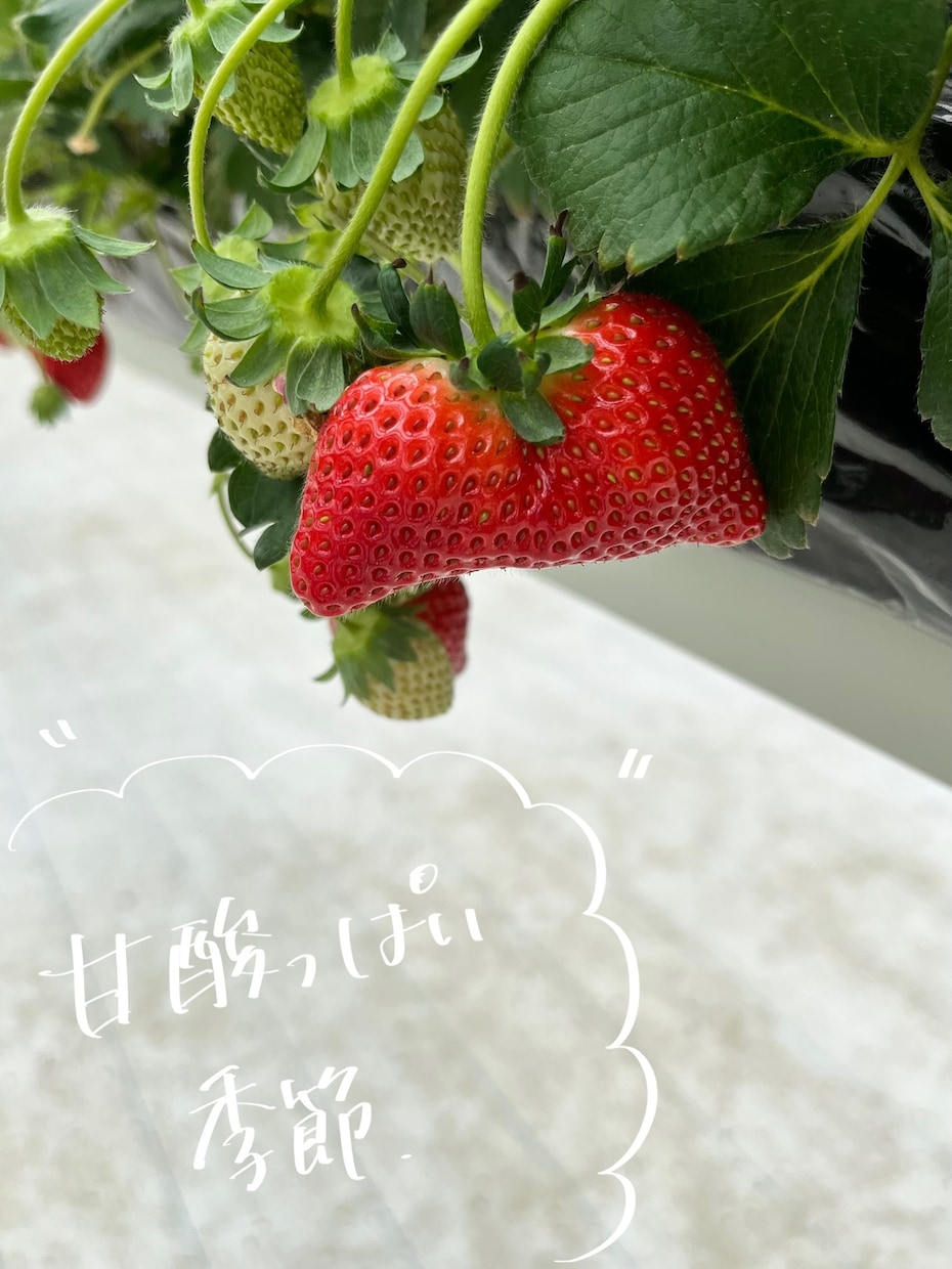 写真に手書きで書きこみをします あなたの素敵な写真に手書き文字で「ひとこと」添えませんか？ イメージ3