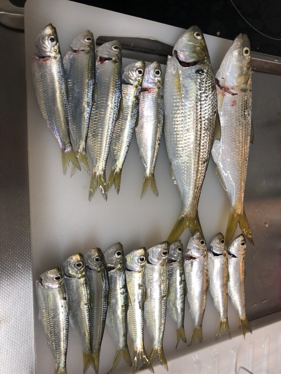 絶対に釣れるポイントをご紹介します 【初心者、入門者向け】釣れる場所をご紹介！ イメージ2