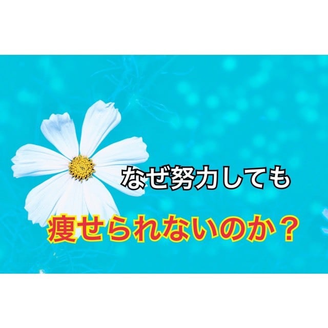 朝習慣を変えて１週間で4キロ痩せた方法教えます 最愛の娘に「ママ綺麗！」と言われた正しい半日ファスティング イメージ3