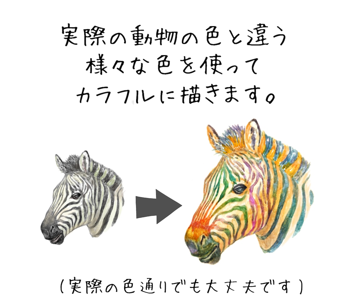 カラフルな「動物の顔」イラスト制作致します 【無料背景付き】プレゼント・アイコン・年賀状・グッズ用などに イメージ2