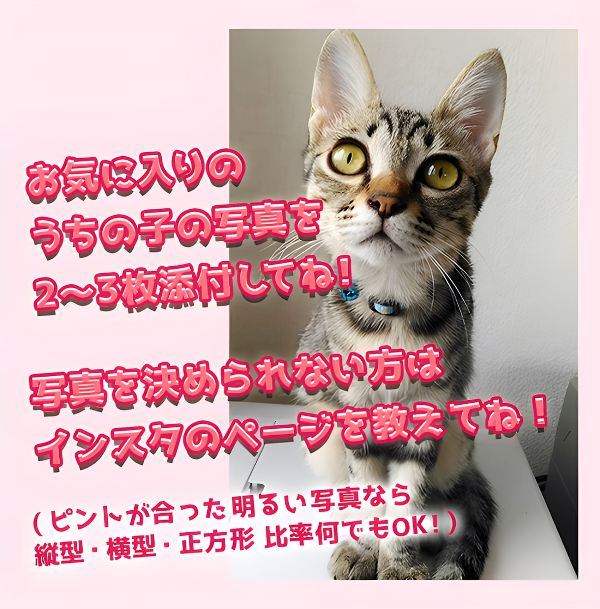 うちの子・ペット似顔絵をポップなイラストで描きます 犬・猫・うさぎ｜商用OK・グッズ制作にも対応 イメージ10