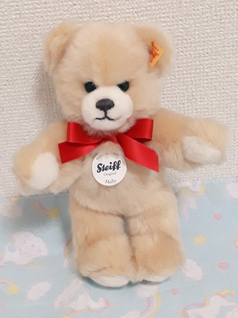 ぬいぐるみさんの想いをあなたへ伝えます 大切な子と心を通わせてみませんか？♡ イメージ2