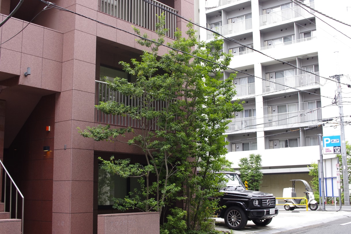 庭木の手入れについて、疑問や悩みを解決します 庭園の設計・施工・管理の業務を通じて、適切にアドバイスします イメージ3
