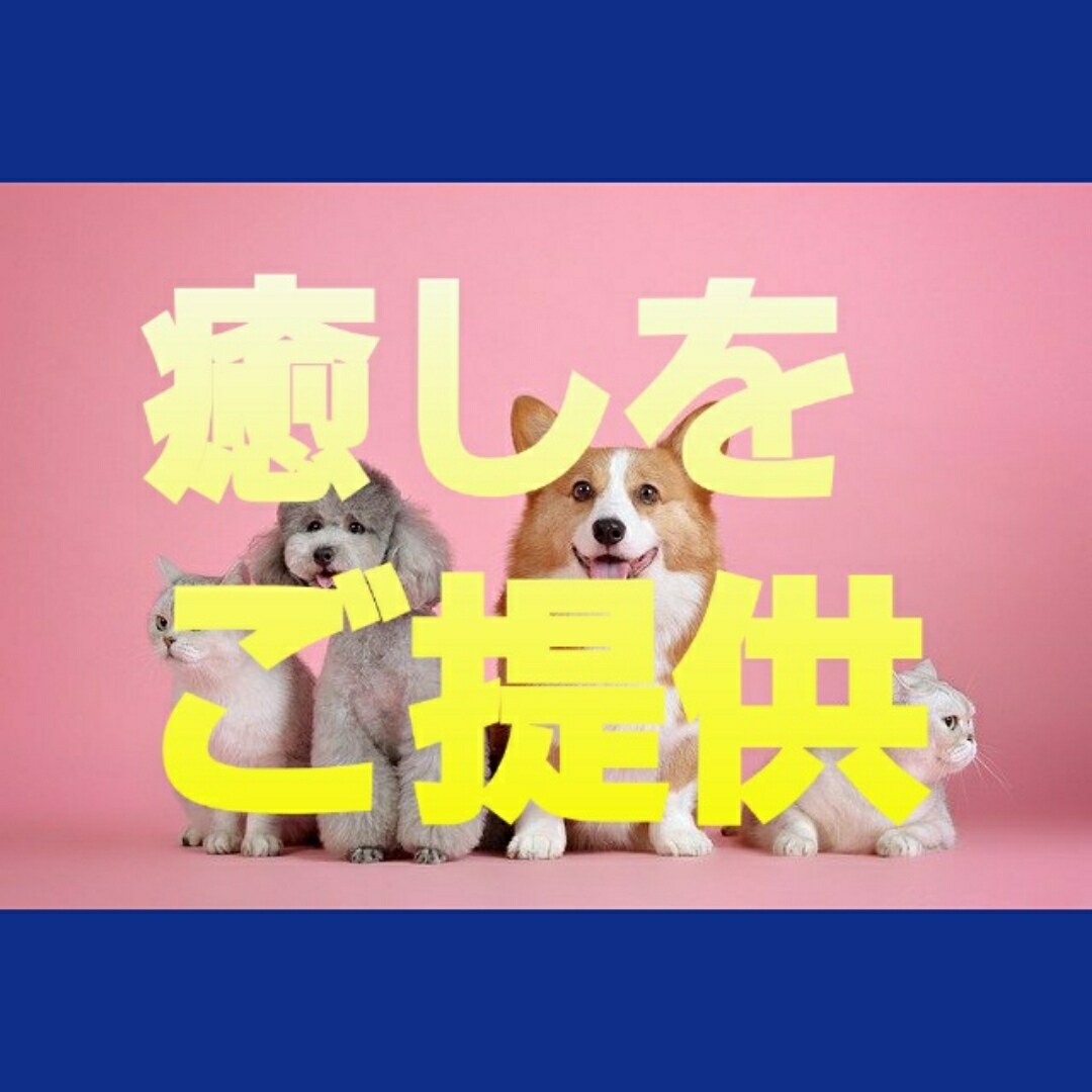 AIに相談は疲れた方☆ほんまに悩みも飛んでいきます 愚痴、自慢、何でも相談、☆タロット占い（別購入）あり♪ イメージ2