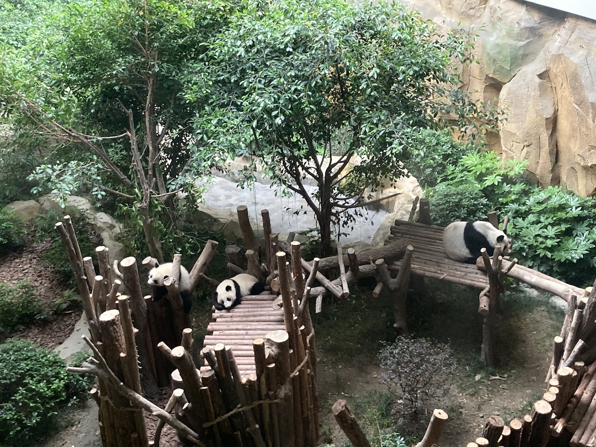 成都、重慶の旅行アドバイスをします 中国旅行の決済アプリや移動の利用注意等を共有します イメージ3