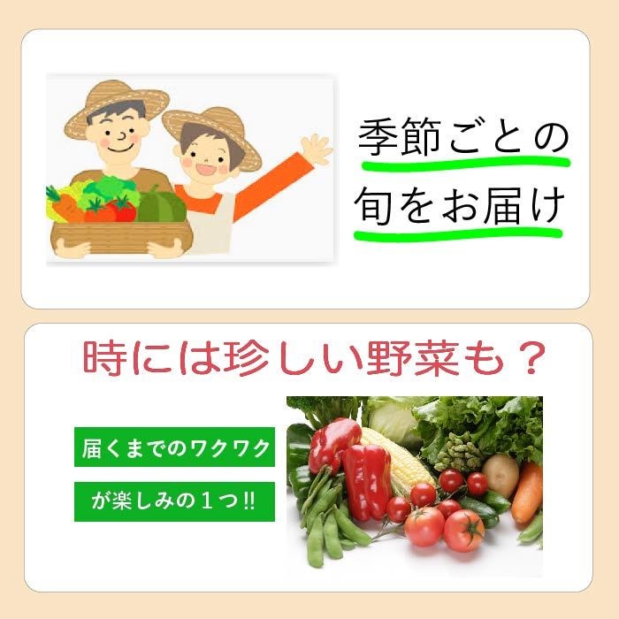 売れる！楽天・Amazonの商品画像作成します 楽天ショップアドバイザーを努めたプロが商品ページ作成！ イメージ3