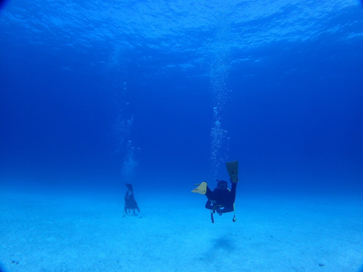 海/ダイビング/水中写真撮ってきます 海☆ビーチ☆水中写真☆代行をします イメージ2