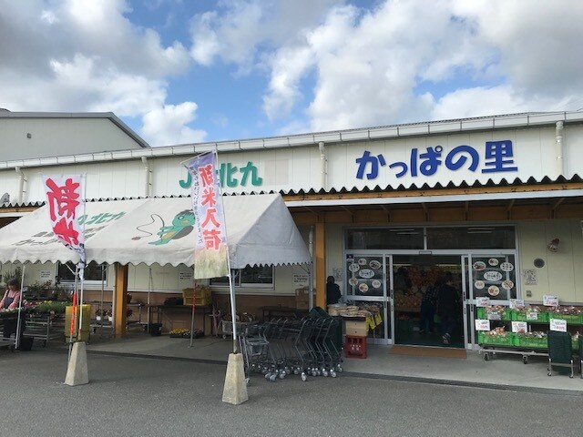 メダカを死なせない7原則を動画で教えます パワーポイントを使ってメダカを死なせない7原則動画で公開 イメージ5