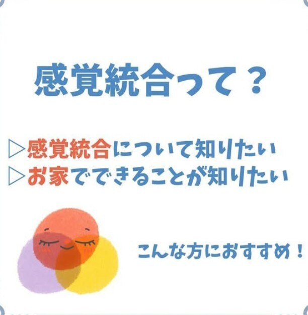 感覚統合の遊びを専門的に教えます 作業療法士による専門的視点による感覚の専門支援お伝えします イメージ1