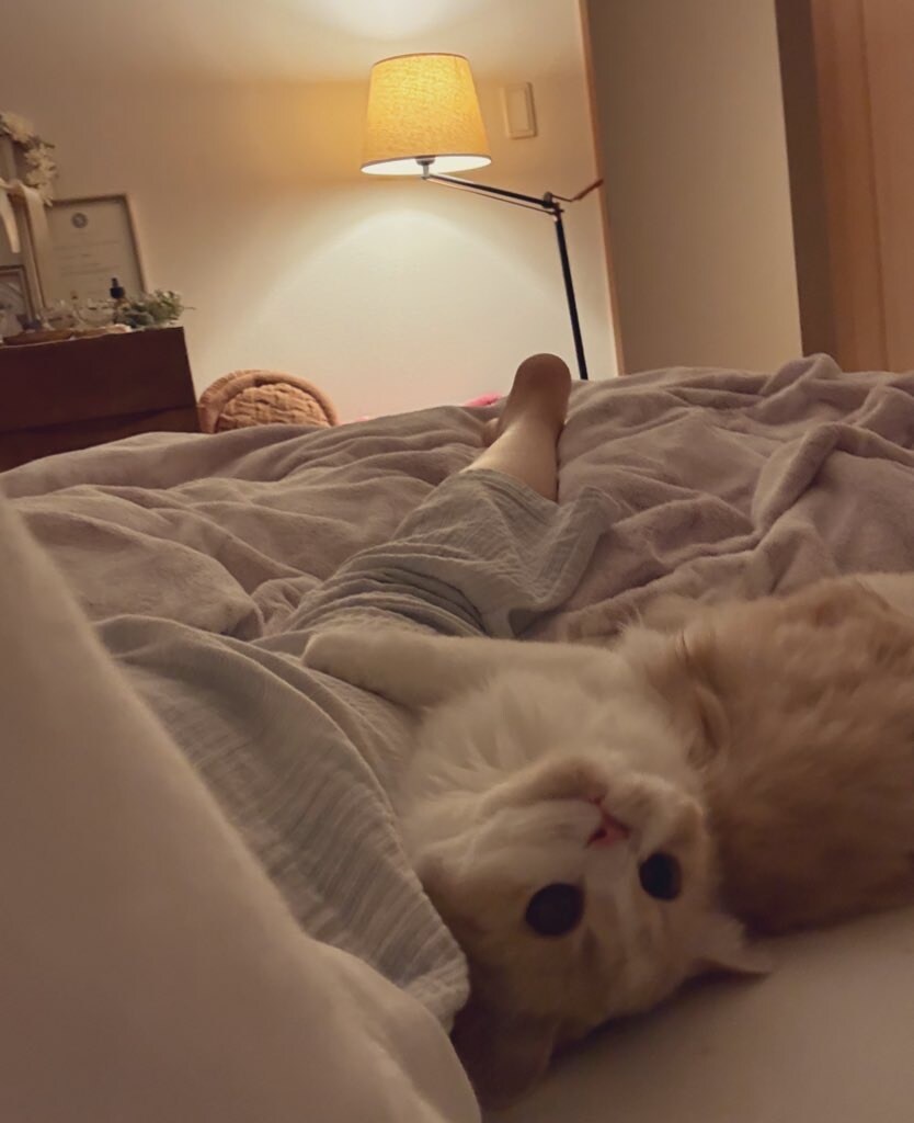 飼い猫さんの気持ちをリーディングします 気になる愛猫の気持ちを教えて！ イメージ3