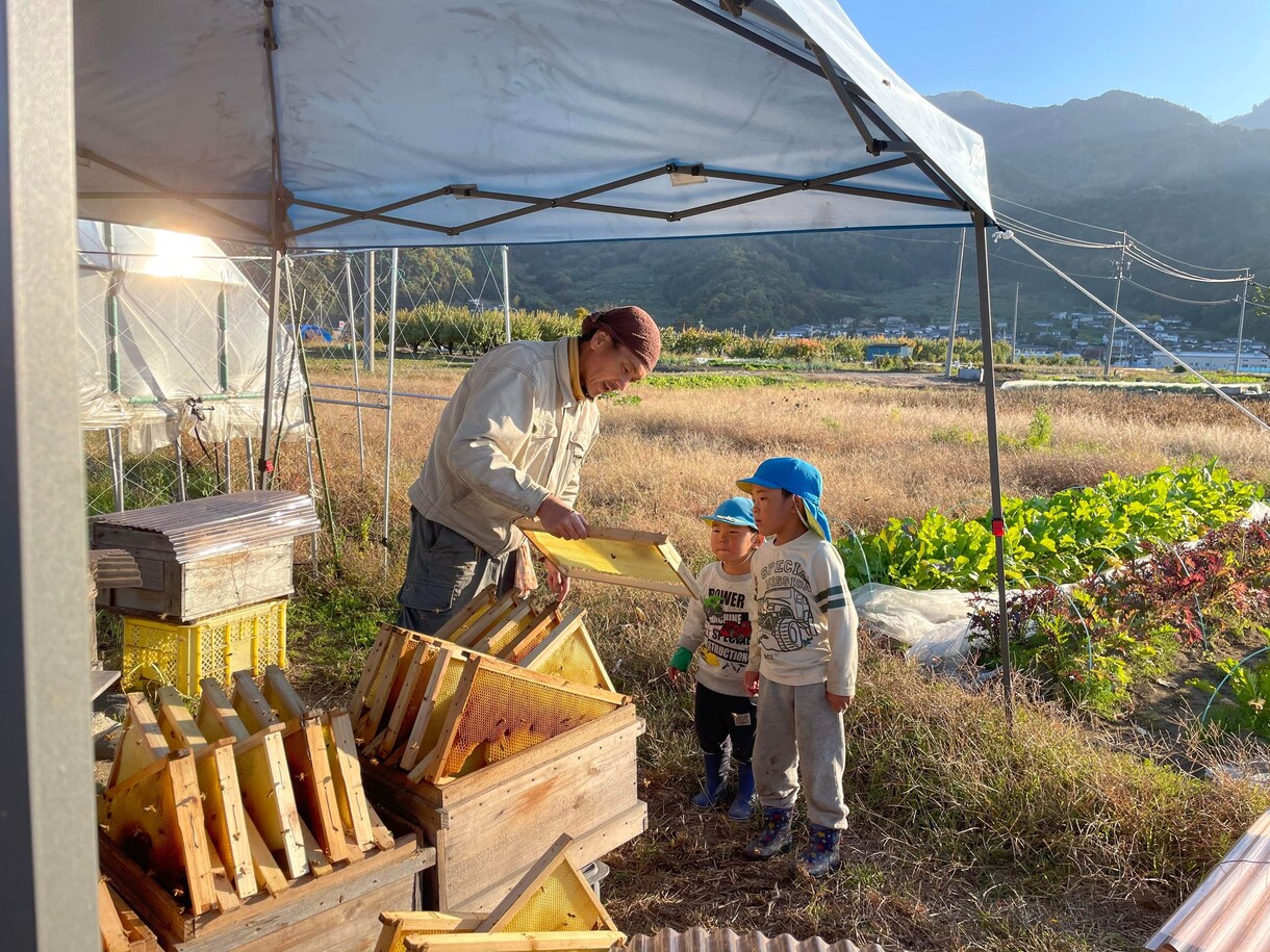 養蜂に挑戦したい！！西洋蜜蜂☆自然養蜂教えます 養蜂の始め方、副業にしたい方、蜜蜂や蜂蜜が好きな方☆ イメージ10