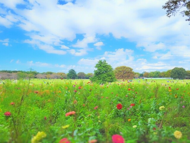 ココナラ✨初めての電話相談をサポートします ココナラ初心者さん/電話相談/出品/練習/会話慣れ/不安 イメージ8