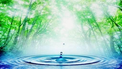 あの人に変わって謝罪します 怒り、悲しみ、憎しみ、自由にぶつけて下さい。 イメージ1