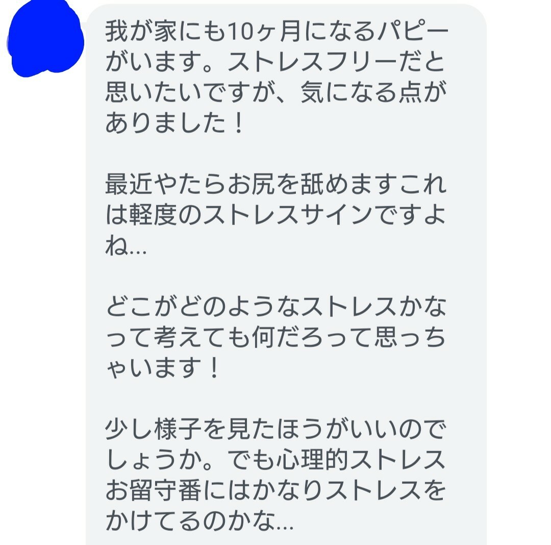子犬・子猫と笑顔で暮らせる秘訣がわかります 奇跡の確率で出会ったわんにゃんとハッピーライフを送りましょう イメージ4