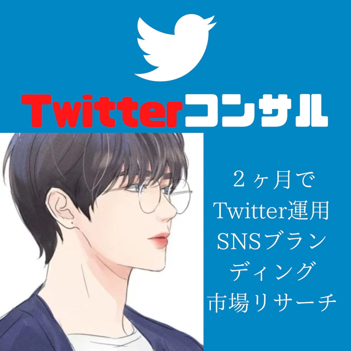 プロがTwitterマーケティングのコンサルします 2ヶ月SNSコンサル・Twitterコンサル・SNSコンサル イメージ1