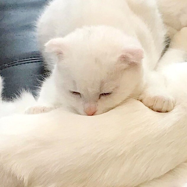 私にどーんと甘えてください！優しく受け止めます 大人でいることに疲れてしまったあなたへ。 イメージ3
