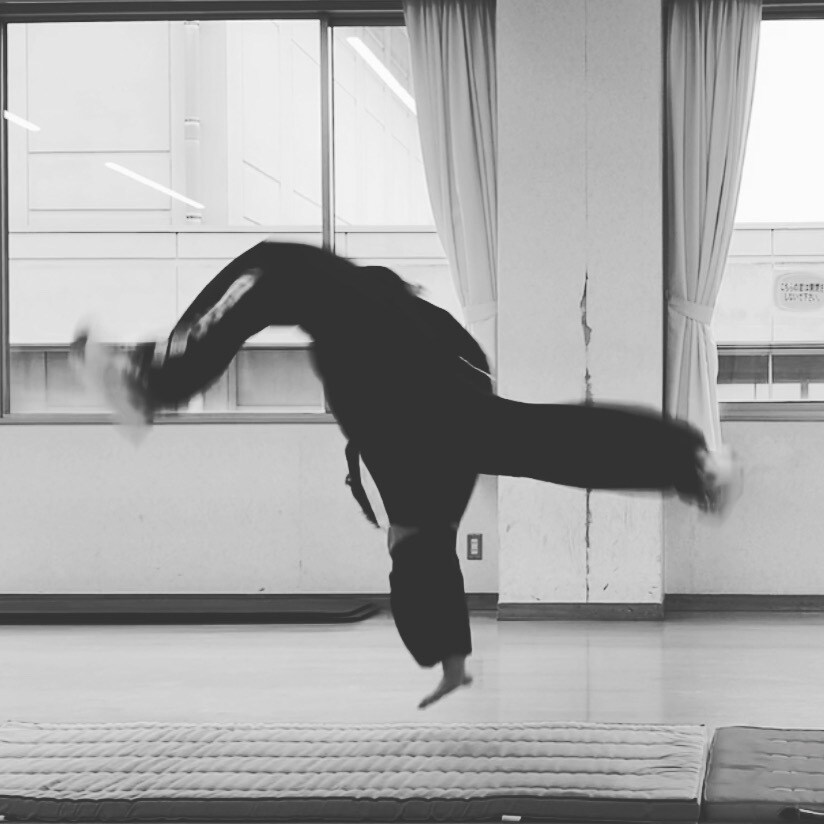バク転や逆上がりなどの技の改善点を助言します 元体操競技全日本選手権出場選手が器械体操の改善点を助言します イメージ1